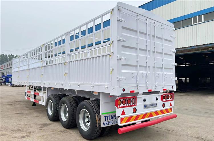60T Fence Cargo Trailer for Sale in Zambia ZMKAA