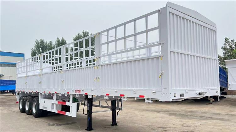 60T Fence Cargo Trailer for Sale in Zambia ZMKAA