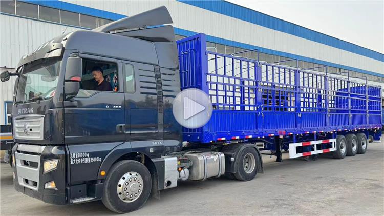 80 Ton Fence Cargo Trailer for Sale In Zambia Zmksh