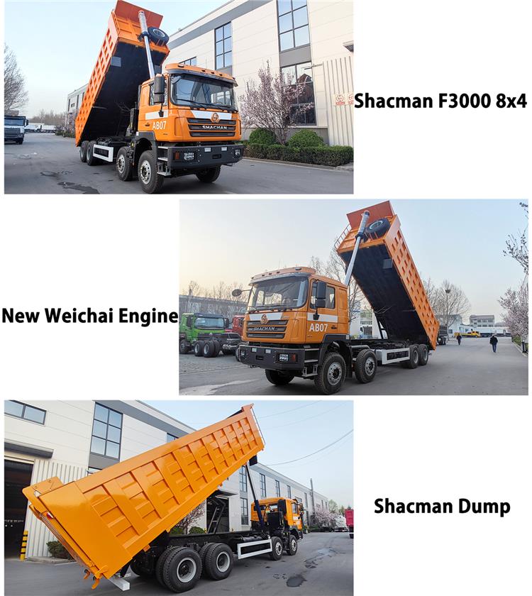 Used Shacman F3000 Tipper Truck for Sale In Zambia